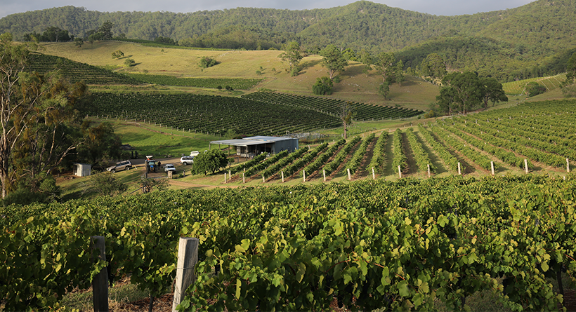 Eagles Rest Maluna Vineyard